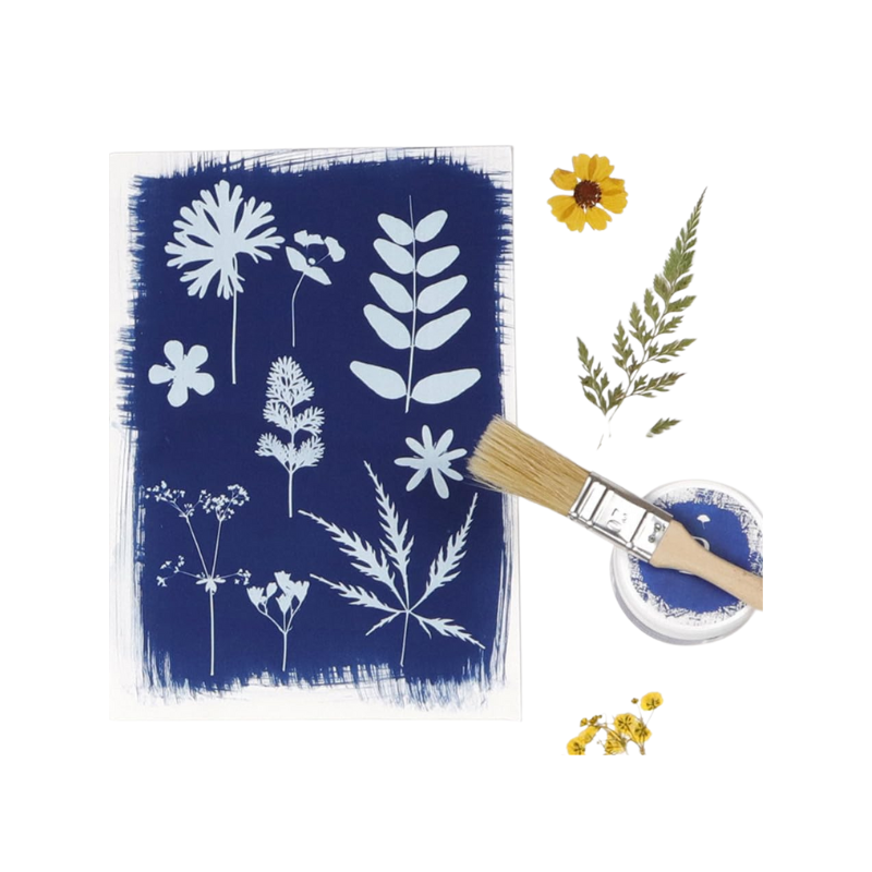 Clairefontaine - Solutions pour Cyanotype