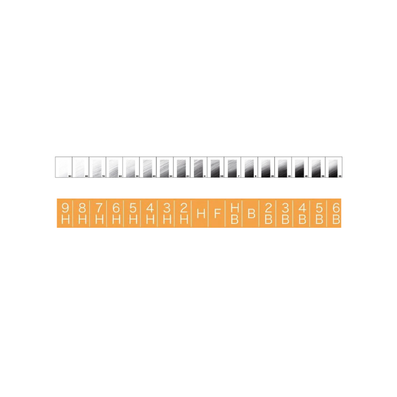 Lot de 12 crayons graphite Mono 100 - Tombow