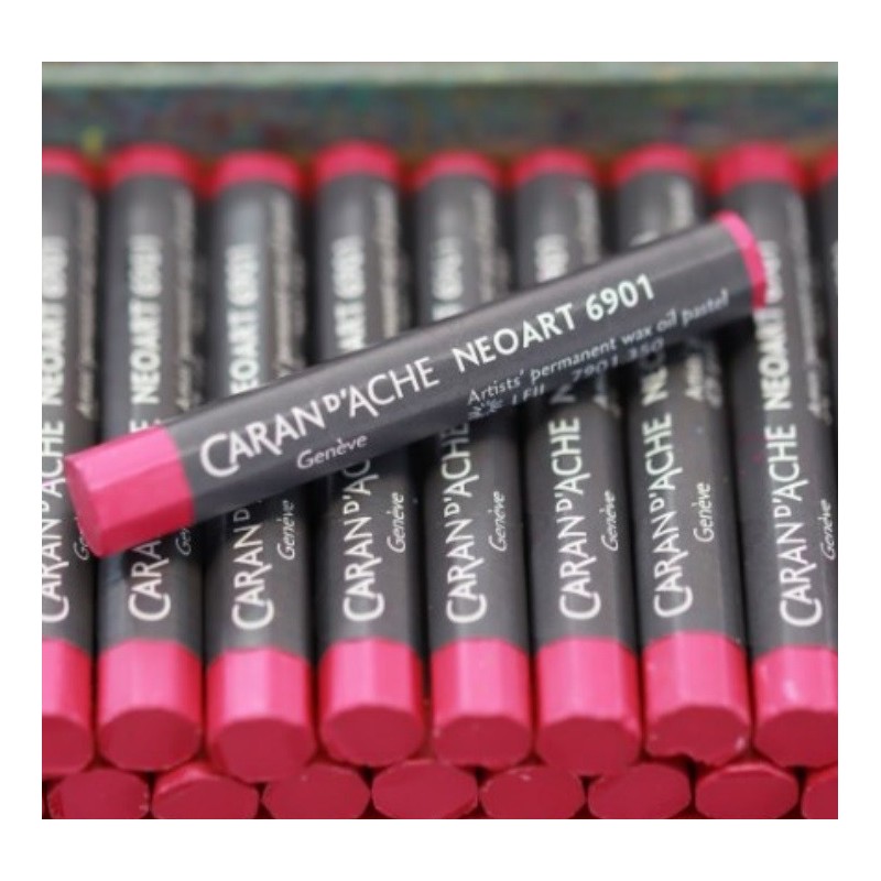 Pastels à la cire et huile Neoart 6901