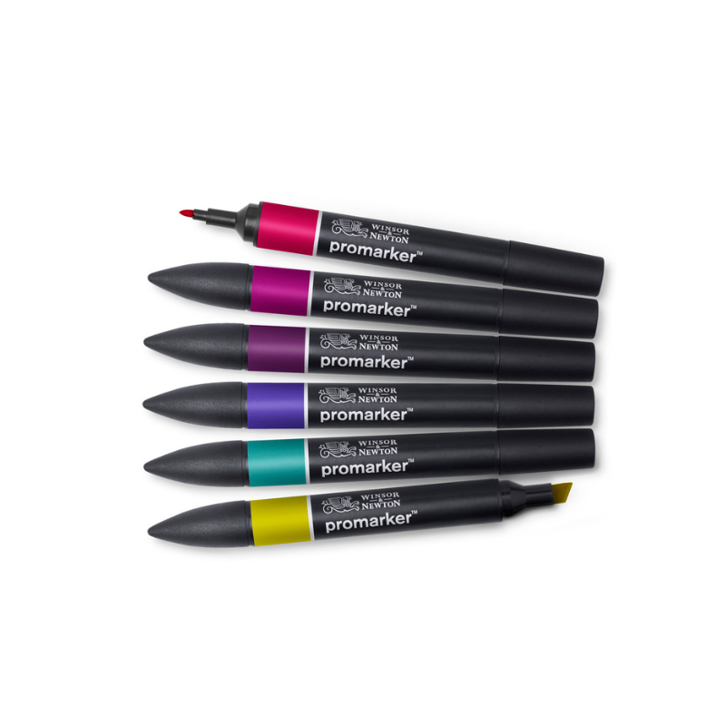 Assortiment de 6 promarkers tons riches Winsor & Newton