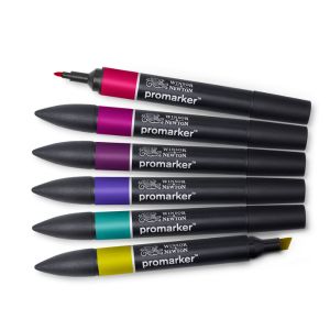 Assortiment de 6 promarkers tons riches Winsor & Newton