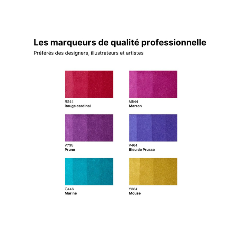 Nuancier de 6 promarkers tons riches Winsor & Newton