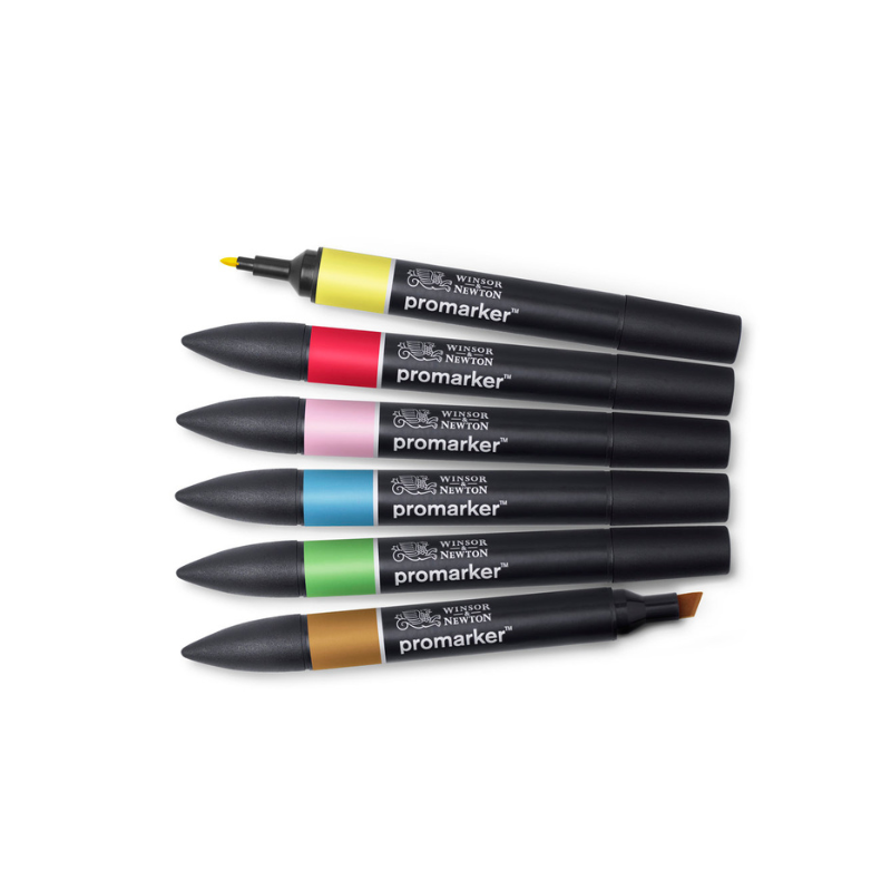 Assortiment de 6 promarkers tons moyens Winsor & Newton