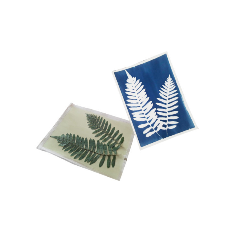 Kit Cyanotype - 10 feuilles prêtes à l'emploi  + plaque transparente - Enjoy Art