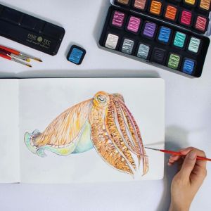 Boîte aquarelle Finetec au mica naturel - 24 godets - 22 nacrées + 2 flip-flop