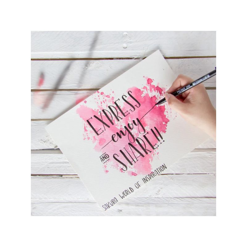 Feutre pinceau Sakura pour dessin Pigma brush pen 
