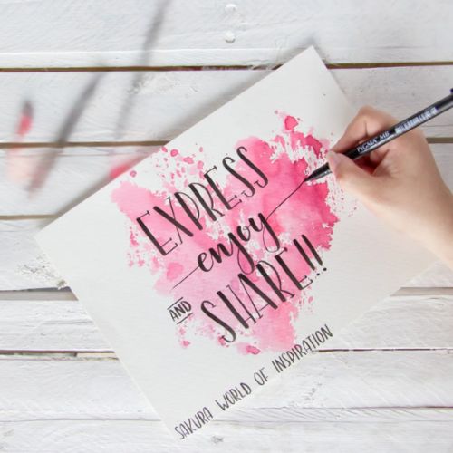 Feutre pinceau Sakura pour dessin Pigma brush pen 