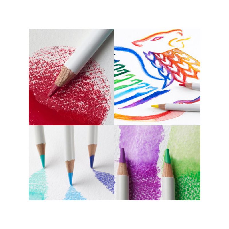 Assortiment de 12 crayons de couleur aquarellables - Winsor & Newton
