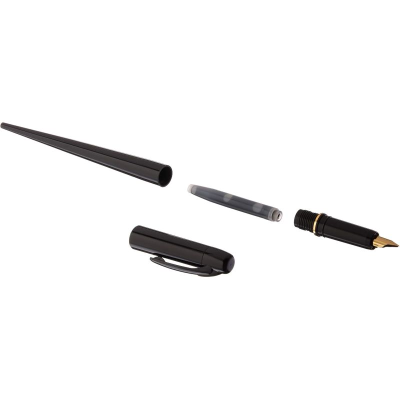 Stylo Platinum Carbon pen extra-fin