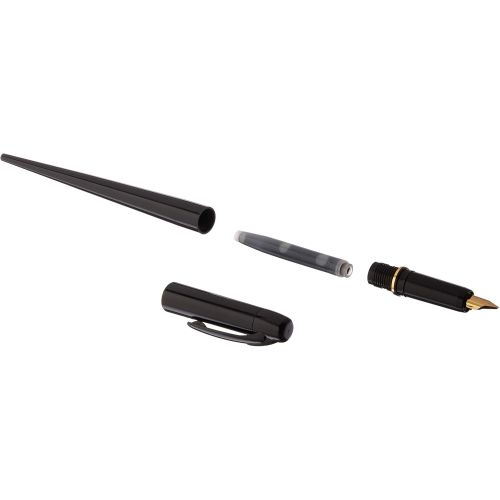 Stylo Platinum Carbon pen extra-fin