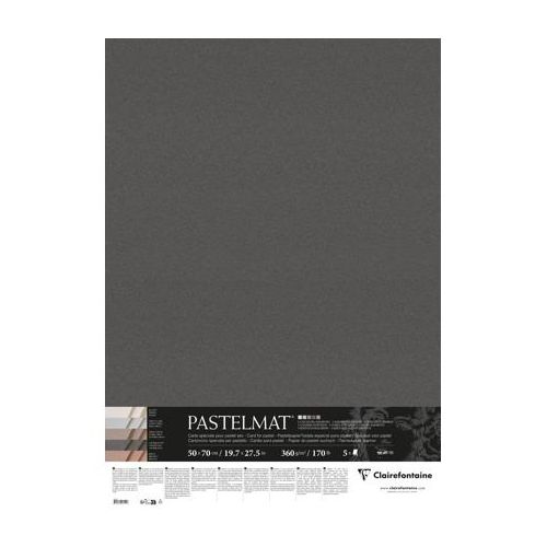 Set 5 cartes Pastelmat 50x70cm pour pastel - 360gr - Clairefontaine