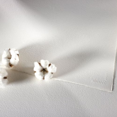 Papier aquarelle Arches - lot 10 feuilles + carton à dessin offert