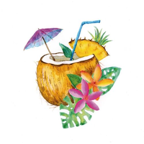 Assortiment de 6 feutres Goldfaber aqua - Coconut -Faber-Castell