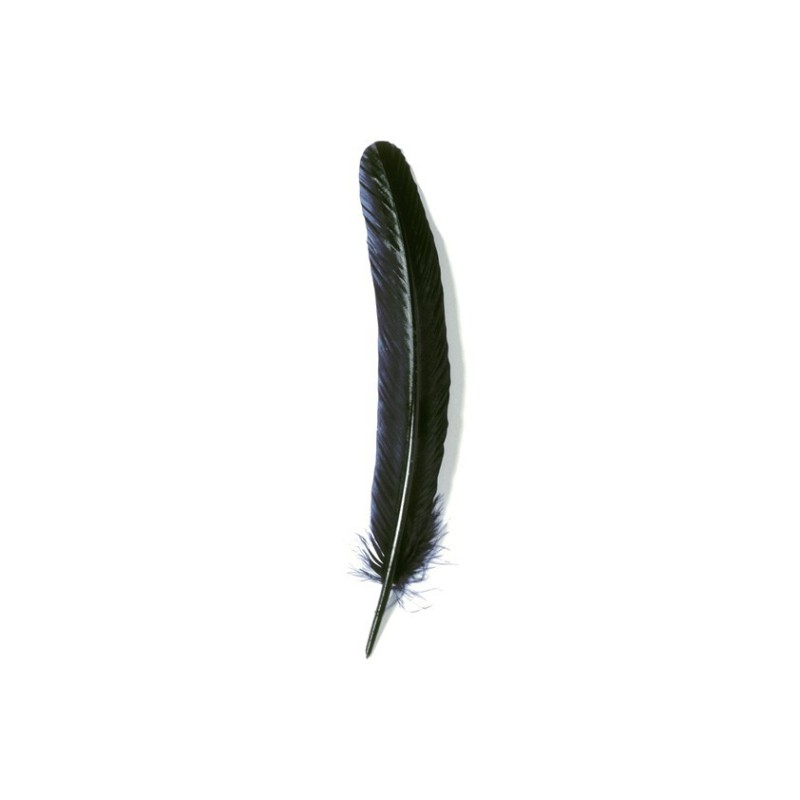 Plume d'oie Brause