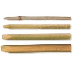 Calame en roseau pour calligraphie