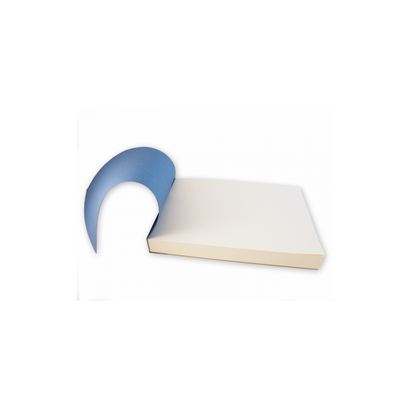 Bloc papier "Le Maxi" de Sennelier