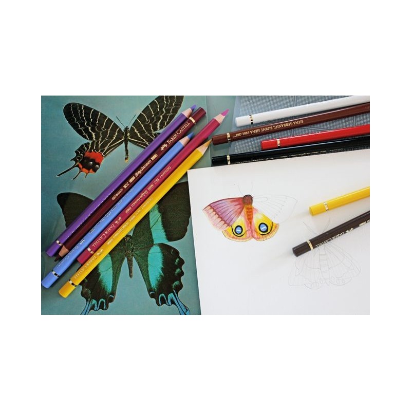 Coffret 120 Polychromos de Faber-Castell