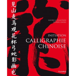 Initiation calligraphie chinoise - Livre