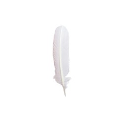 Plume d'oie Brause