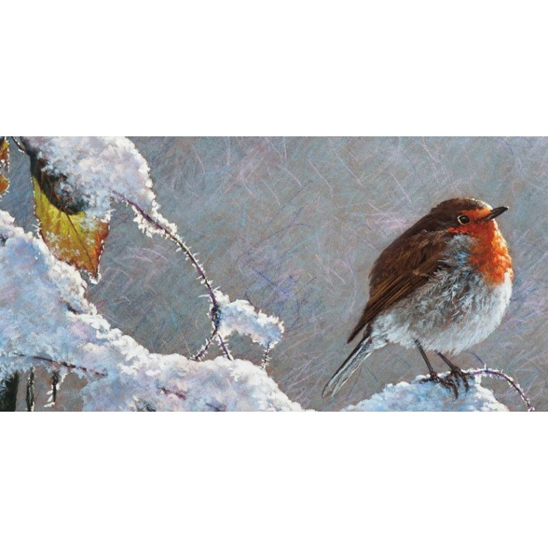 Crayon pastel haut de gamme de Caran d'Ache