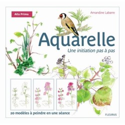 Aquarelle une initiation pas à pas - Livre Broché