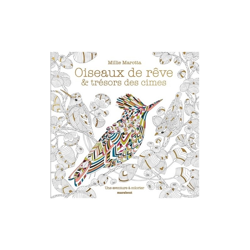 OISEAUX DE REVE ET TRESORS DES CIMES - Livre
