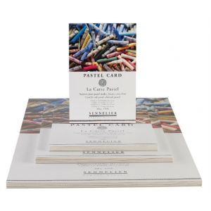 Pastel Card Sennelier, bloc pour pastel 360gr - - Creastore