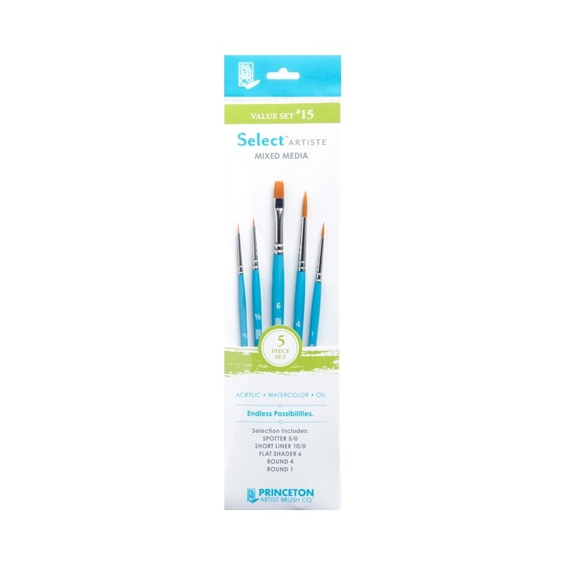 Set de 5 pinceaux Princeton