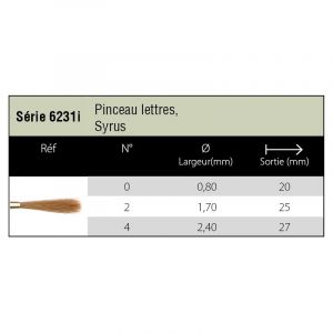 Pinceaux Syrus - lettre 6231i - Isabey