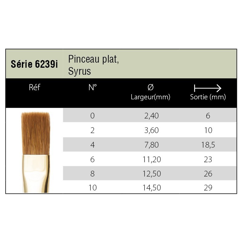 Pinceaux Syrus - plat 6239i - Isabey