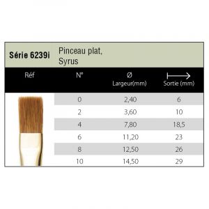 Pinceaux Syrus - plat 6239i - Isabey