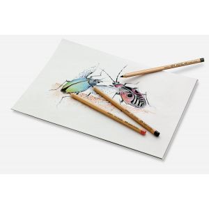 dessin pastel au crayon pastel Pitt - Faber-castell