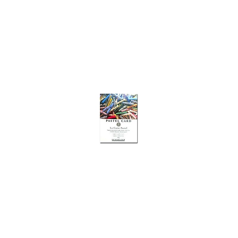 Pastel Card Sennelier, bloc pour pastel 360gr - 