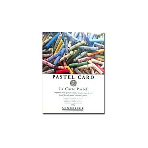 Pastel Card - Bloc pour pastel - 360gr - Sennelier