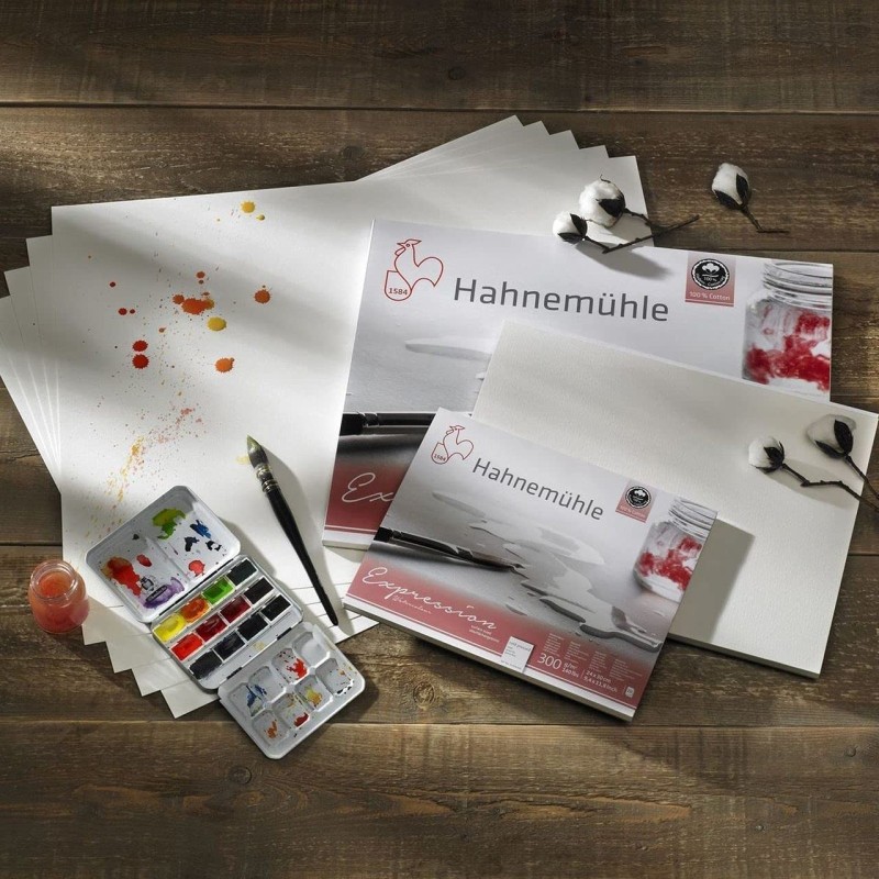  Bloc aquarelle Harmony - Grain Fin - Hahnemühle