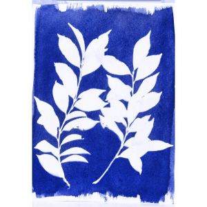 plante en Cyanotype