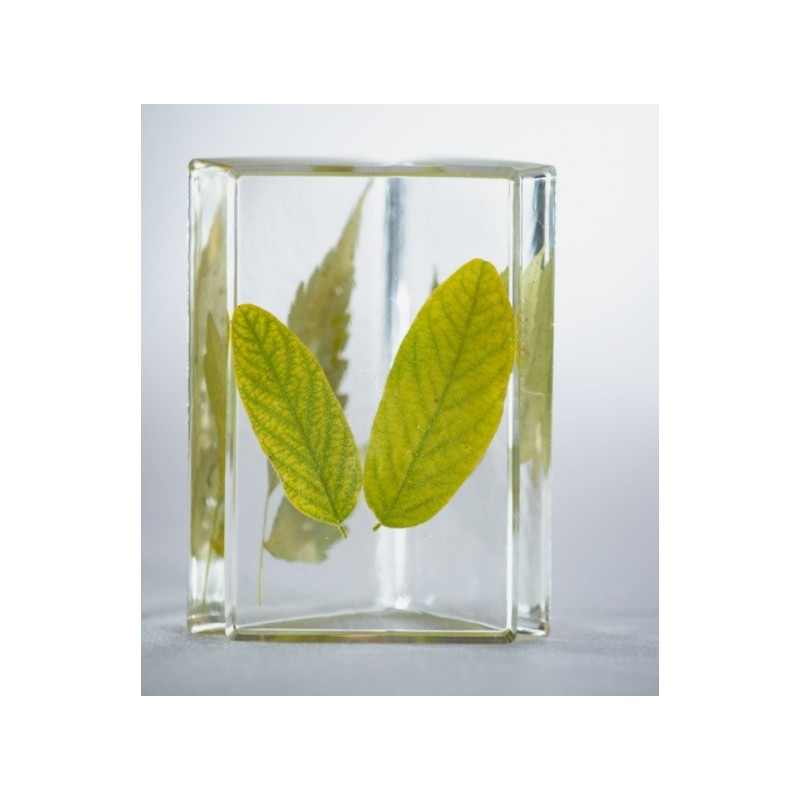 Kit résine cristal BIO pébéo