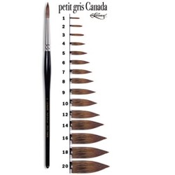Pinceau petit gris Canada de Léonard, pinceaux aquarelle