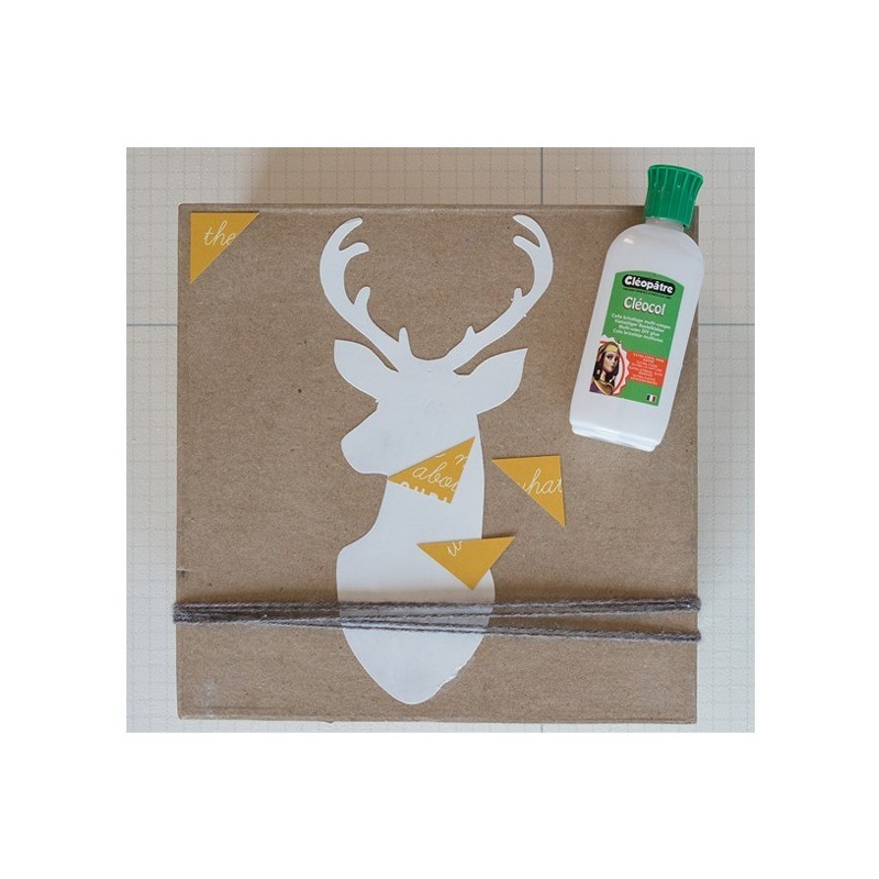  Colle Cléocol pour carton et papier