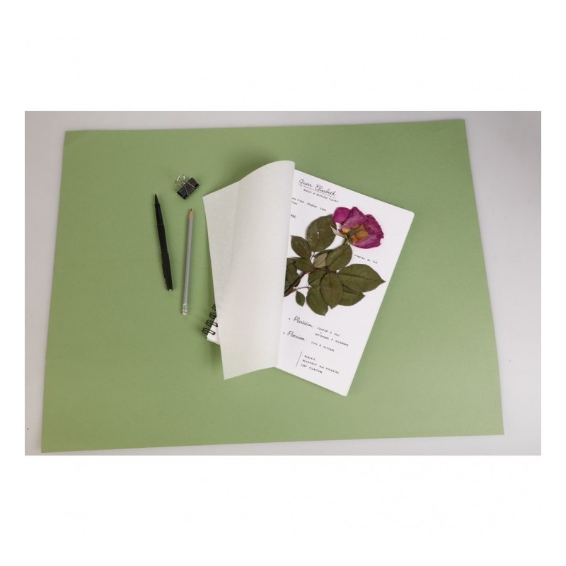 Herbier - 64 pages A4 - Clairefontaine