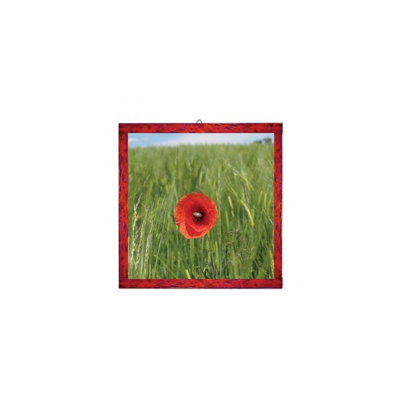 Set de 12 attaches cadres - Apli