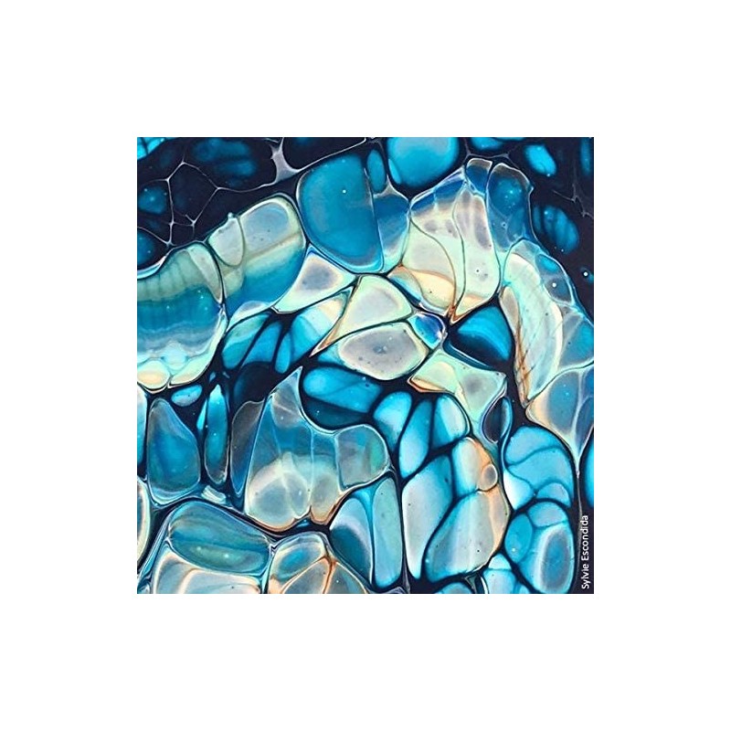 Oeuvre réalisée avec Huile de silicone
