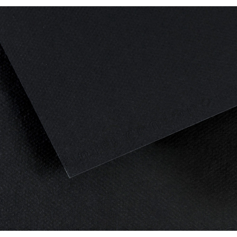 Bloc Mi-teintes pour dessin et pastel  - Noir - Canson