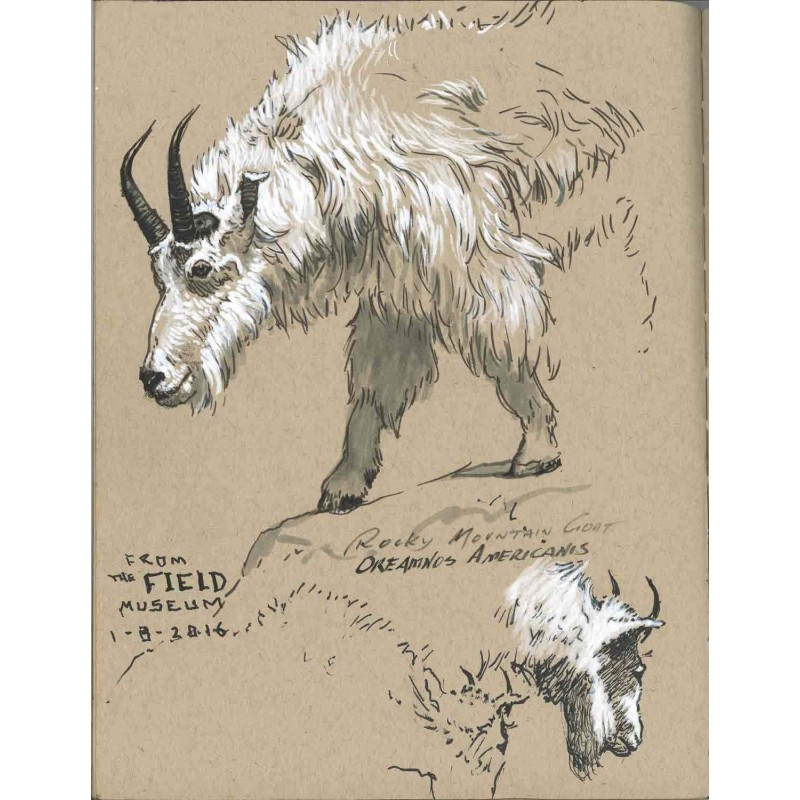 Feutre PITT Artist pen - Blanc - Faber Castell