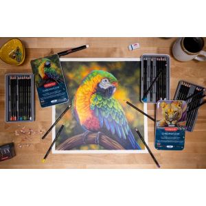 Boîte de 24 crayons Chromaflow - couleurs riches et vibrantes - Derwent