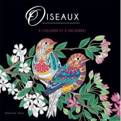 Black coloriage - Oiseaux - Livre - Dessain et Tolra