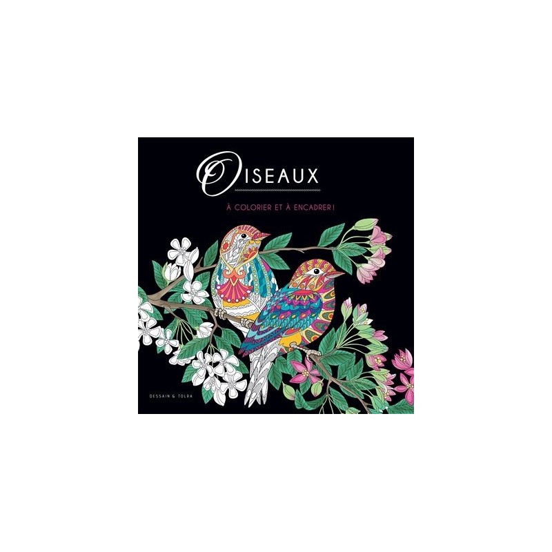 Black coloriage - Oiseaux - Livre - Dessain et Tolra