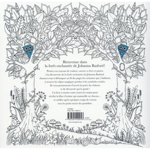 Livre Forêt enchantée - Carnet de coloriage par Johanna Basford - Creastore