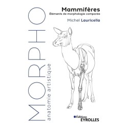 Morpho - Mammifères - recueil de plus de 500 dessins pour une centaine d'espèces de mammifères  - Livre Michel Lauricella 