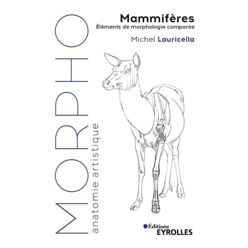 Morpho - Mammifères - recueil de plus de 500 dessins pour une centaine d'espèces de mammifères  - Livre Michel Lauricella 